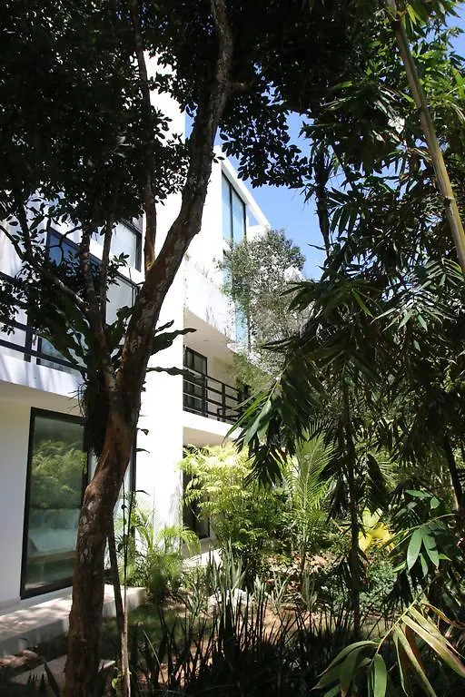 Anah Tulum Aparthotel Akumal